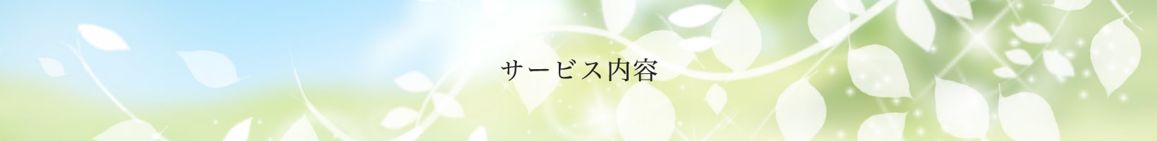 サービス内容