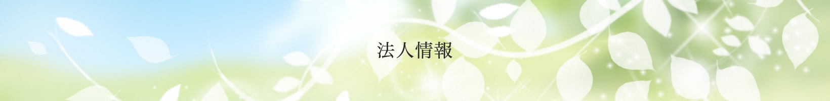 法人情報
