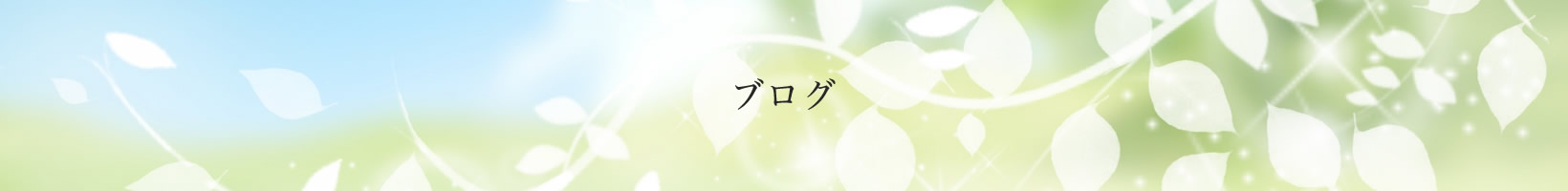 ブログ
